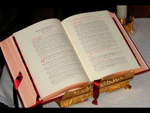 Evangelio y homilía viernes 20 de noviembre de 2015(de nazaret.tv)