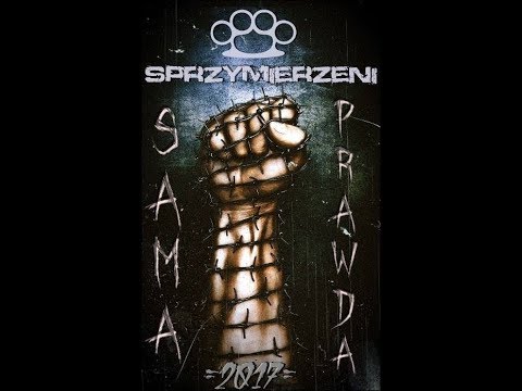 11. Sprzymierzeni - Odnajdź swój cel,  prod. Fuso