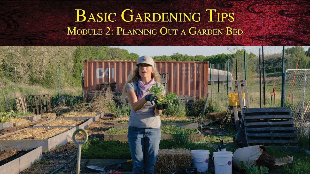 Basic Gardening Tips - Module 2: Planning out a garden bed. Which plant to put where