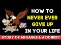 Story Of Eagle A Very Motivational Story Never Ever Give Up Story Nevergiveup