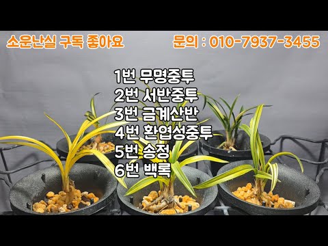 유튜브 썸네일