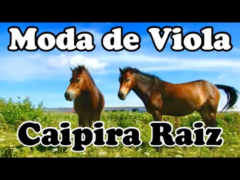 🎶MODA E VIOLA CAIPIRA RAIZ - O Verdadeiro Som da Roça e Sertanejas Antigas