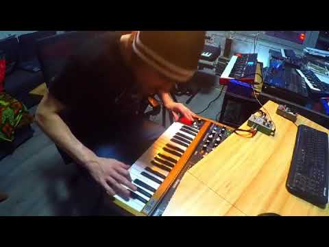 Crazy Synthesizer Solo // Going mad with my Behringer Poly D