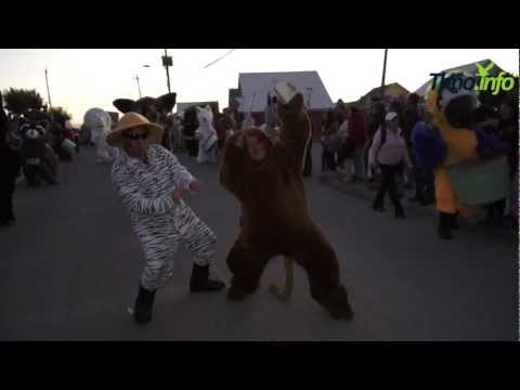 Murga "El mundo animal se toma el Carnaval", Cerro David Fuentes - Carnaval de Talcahuano 2012