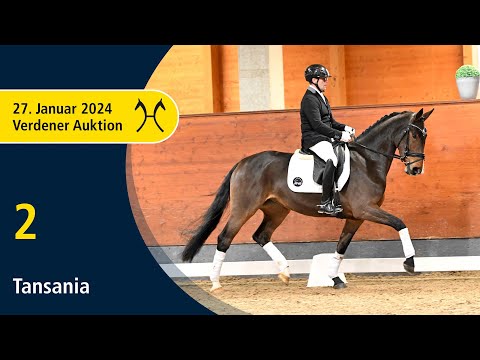 Verden Auction Online - Sporthorses - Jan. 27 - No. 2 Tansania by Total Hope - Prestige Pilot