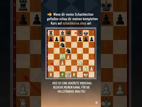 He sacrificed the LADY! Rubinstein's Immortals & Steinitz's masterpiece