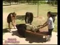 Magician Split A Girl S Body Unbelievable Magic