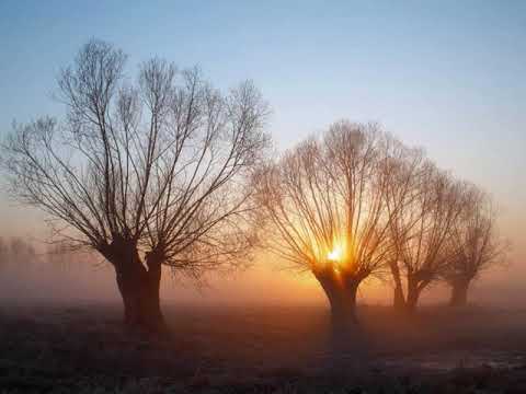 Vytis - Mixed Podcast #55 [Atmo/Dub Techno 🇮🇪]