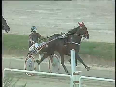 Trotto 24/09/2017 - 3ª corsa