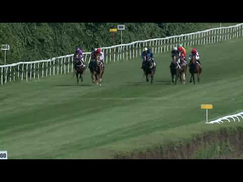 2019.08.11. 03. futam - KEZDŐ LOVAK VERSENYE - NYERETLEN KÉTÉVESEK VERSENYE (IV.kat.)