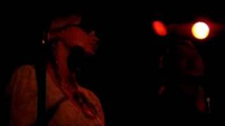 Husky Rescue Sweet Little Kitten