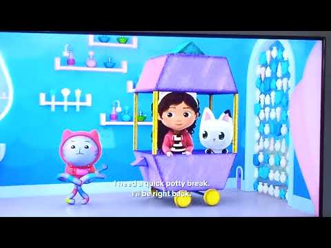 DJ Catnip need a quick potty break