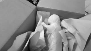 Kong, Olive, Emredacted & Family are Moving! Watch Olive Pack.