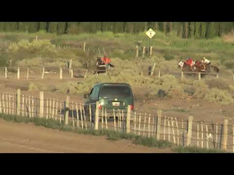 BANDIDO  "Club Hipico Cabo Alarcón"    Picun Leufu    20-11-2022