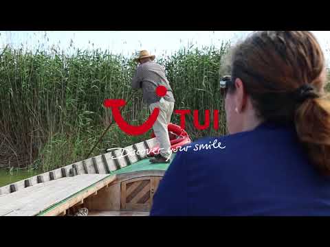 Valencia and Albufera Tour | TUI Musement