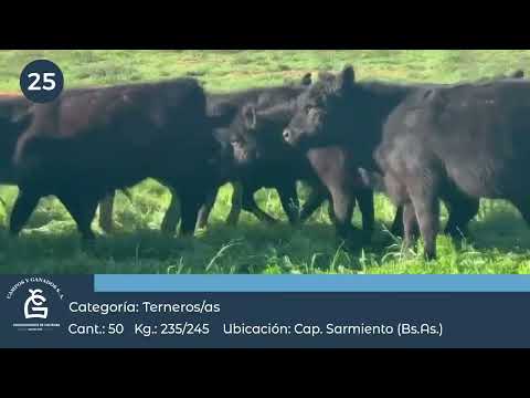 Lote M Y H- Cap Sarmiento Bs As