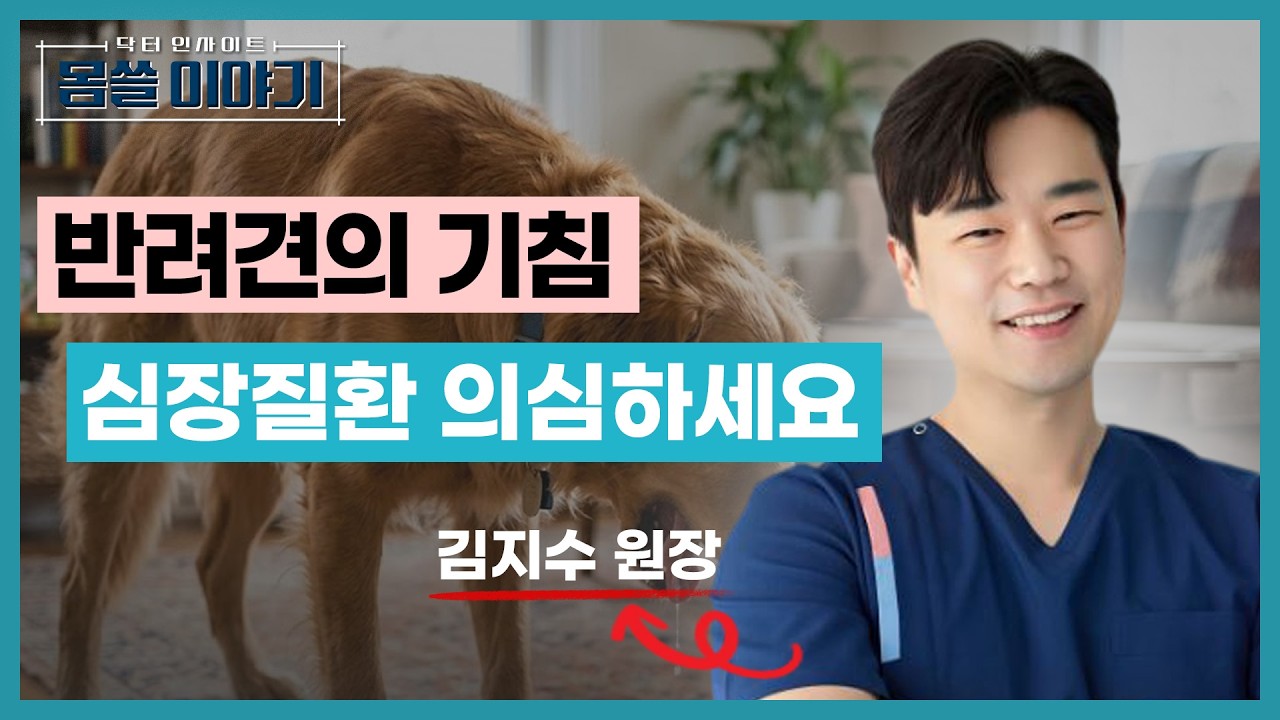 강아지 심장병 초기증상⚠️ 기침이 계속된다면 꼭 보세요 [몸쓸이야기 17회]