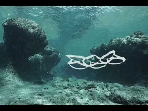 North Sails Pitti Uomo 2018_Video Totale