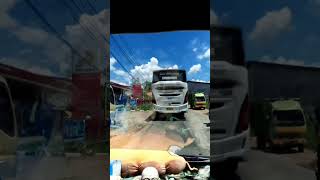 Download lagu MASIH BERSAMA, MBK DAMRI MERCEDES-BENZ #shortvideo #bus #transportasidarat #bus mp3