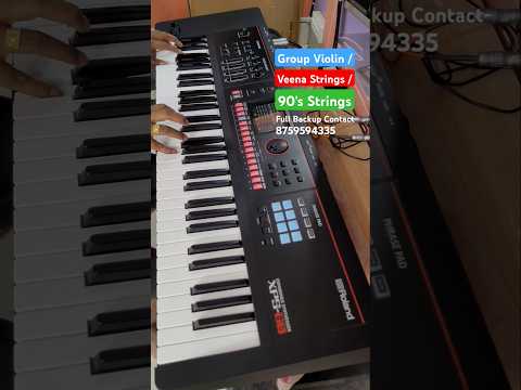 Group Violin | Veena Strings | 90's Strings | XPS-60