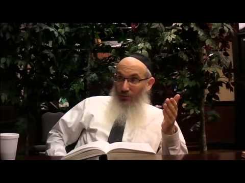 Tanya Chapter 28 by Rabbi Yisroel Spalter