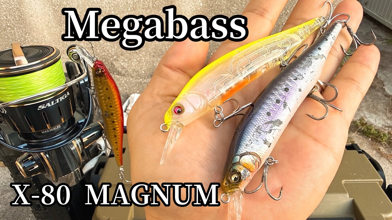 このルアーの実力をその目で見てほしい【サワラ釣り】