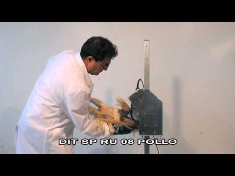 Spiumatrice DIT SP RU 08 – pollo