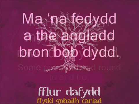 Fflur Dafydd - Rhoces