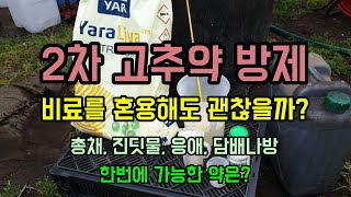 고추약방제 고추병해충예방 질산칼슘과 붕소가 들어있는 칼슘비료 함께 뿌리기,  총채 진딧물 응애 담배나방 한번…