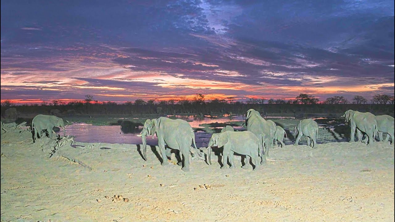 Live webcam view of Hideaways Camp Kuzuma Watering Hole