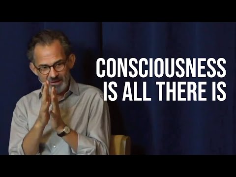 There Is Nothing Other Than Consciousness