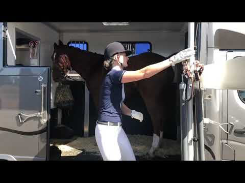 Dickenherr 2 Ride wird beladen, horse enters a Dickenherr truck