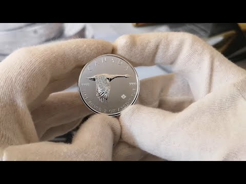 2020 Canada Goose 2oz 9999 Fine Silver Bullion Coin from Coininvest!