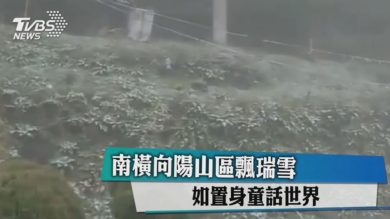 南橫向陽山區飄瑞雪 如置身童話世界