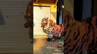 Download lagu Can macanan memangsa bebek mp3