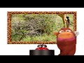 Sesame Street Monkey Elmo Giraffe Ding Bell Up