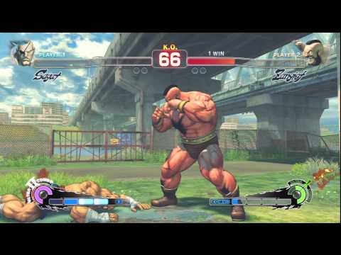 PvC3 - SSFIV AE 2012 Grand Finals- Segazoom (Sagat,Rose) vs Hadoshrooms (Zangief)