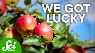 Was Johnny Appleseed Wasting His Time?