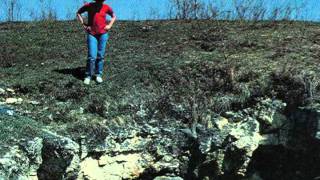 Acid Sweat Lodge: Continued Research Into Wilderness, Wildlife, Isolation and Shelter