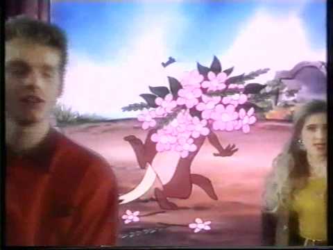 Corinna-und-Dirk - gib-niemals-auf.avi