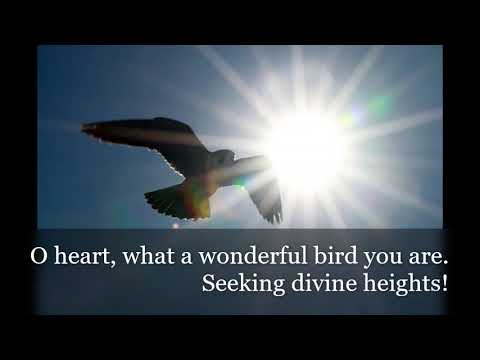 Rumi  ~ 𝐆𝐨𝐧𝐞 𝐭𝐨 𝐭𝐡𝐞 𝐔𝐧𝐬𝐞𝐞𝐧 ~ Sufi Mystics