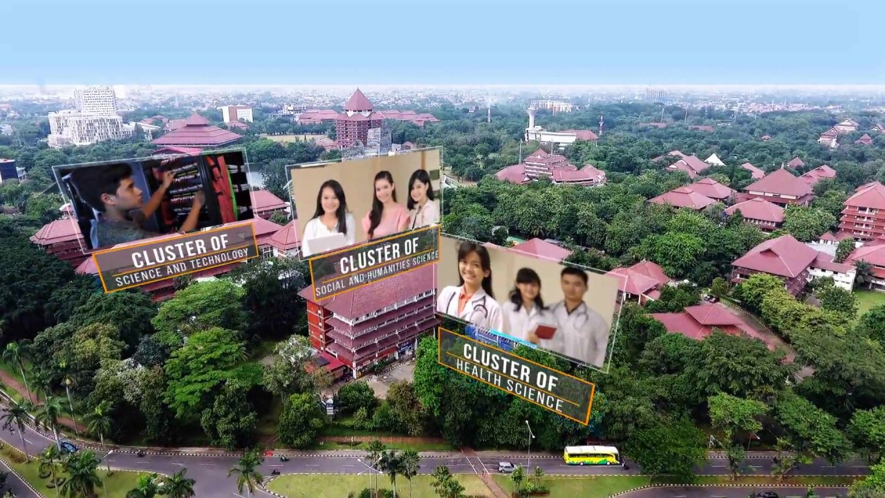 University of Indonesia World University Rankings THE