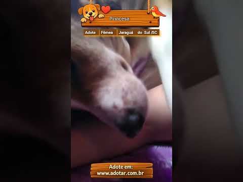 Vídeo de Princesa 