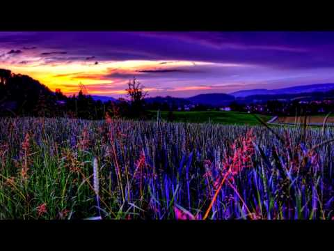 Syntouch - Butterfly (Original Mix) [Trancer Recordings]