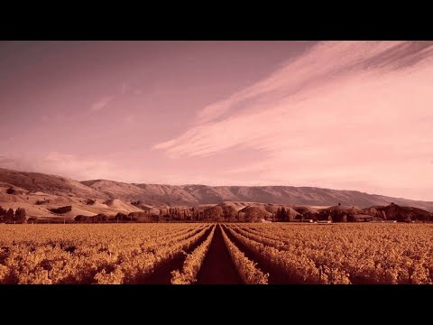 Transforming Product Development