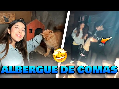 ZULLY y MACVBRIDE VISITAN EL ALBERGUE DE COMAS  ✅️ PERROS Y GATOS ✅️