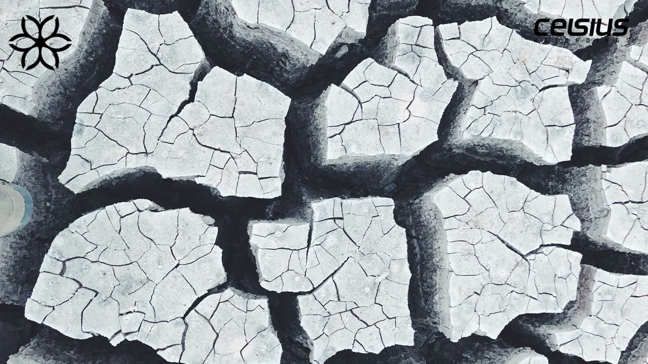 Qumuus & Warm Roller - Black Lies