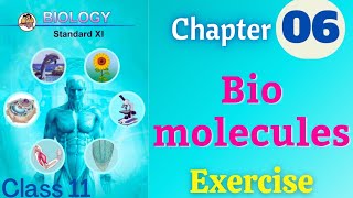 Biomolecules class 11 biology chapter 6 exercise solutions