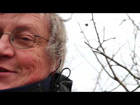 Master beekeepers Binder and Eberhard: Part 3 - what to do with weak colonies? Feeding, separating.