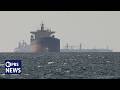 TIMELAPSE Visualization Shows Movement Of Ships Through Strait Of Hormuz